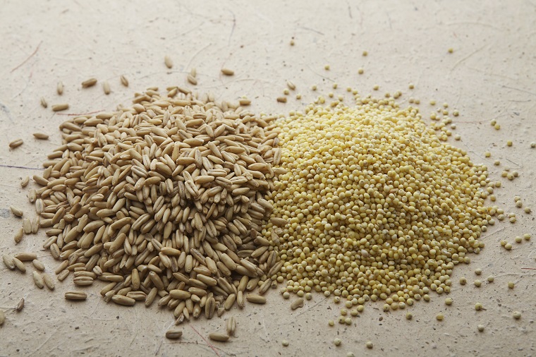 白米のたんぱく質と食物繊維を増やす方法